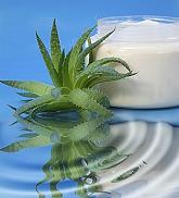 aloe vera for healthy skin care