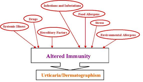 dermatographism causes