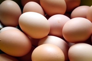 eggs used for a facial mask