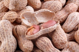 peanuts can cause an allergic skin rash