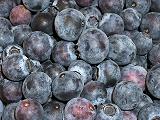 blueberries for healthy skin