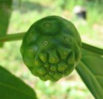 noni juice benefits for skin care