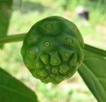 noni juice benefits for skin care